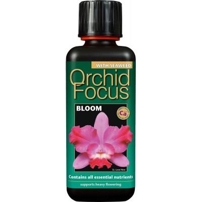 Orchid Focus Bloom 300ml